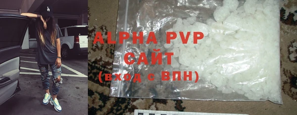 spice Богородицк