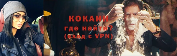 spice Богородицк