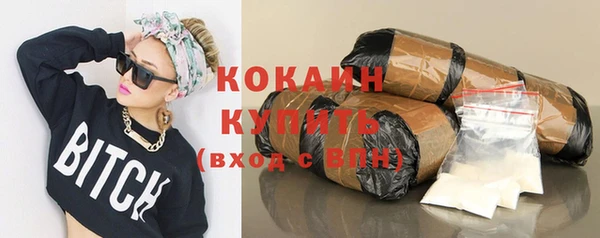 прущий лед Богородск