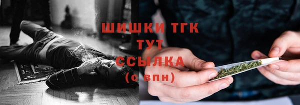 spice Богородицк