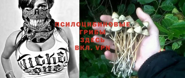 прущий лед Богородск