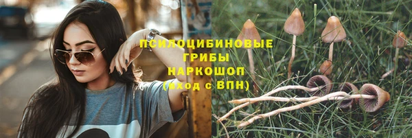 прущий лед Богородск
